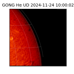 gong - 2024-11-24T10:00:02