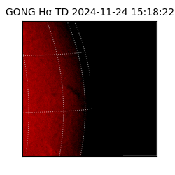 gong - 2024-11-24T15:18:22