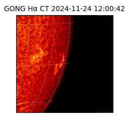 gong - 2024-11-24T12:00:42