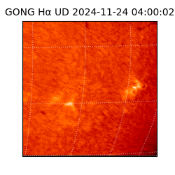 gong - 2024-11-24T04:00:02