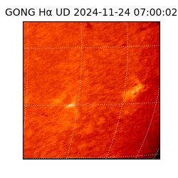 gong - 2024-11-24T07:00:02