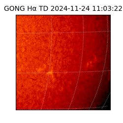 gong - 2024-11-24T11:03:22
