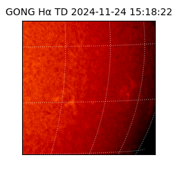 gong - 2024-11-24T15:18:22