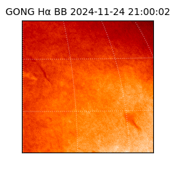 gong - 2024-11-24T21:00:02
