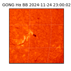 gong - 2024-11-24T23:00:02
