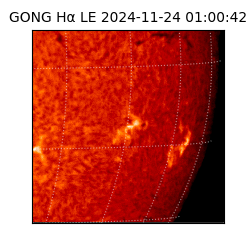 gong - 2024-11-24T01:00:42