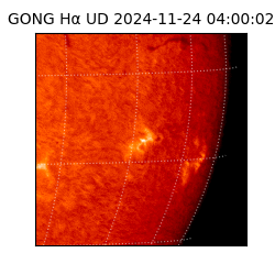 gong - 2024-11-24T04:00:02