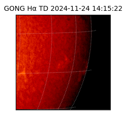 gong - 2024-11-24T14:15:22