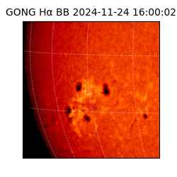 gong - 2024-11-24T16:00:02