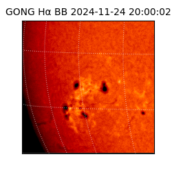 gong - 2024-11-24T20:00:02