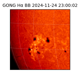 gong - 2024-11-24T23:00:02