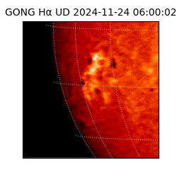 gong - 2024-11-24T06:00:02