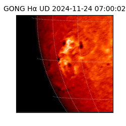gong - 2024-11-24T07:00:02