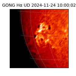 gong - 2024-11-24T10:00:02