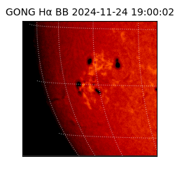 gong - 2024-11-24T19:00:02