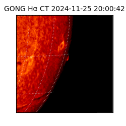 gong - 2024-11-25T20:00:42