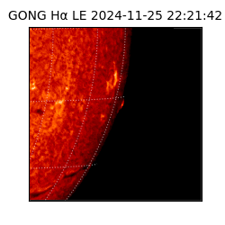 gong - 2024-11-25T22:21:42