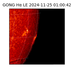 gong - 2024-11-25T01:00:42