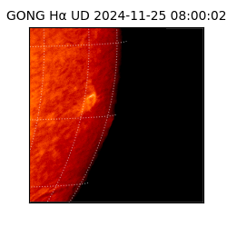 gong - 2024-11-25T08:00:02