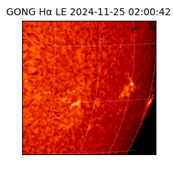 gong - 2024-11-25T02:00:42