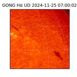 gong - 2024-11-25T07:00:02