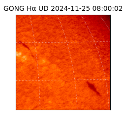 gong - 2024-11-25T08:00:02