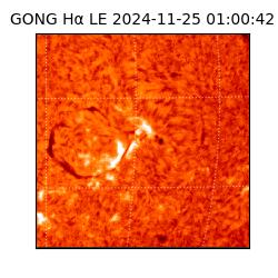 gong - 2024-11-25T01:00:42