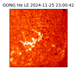 gong - 2024-11-25T23:00:42