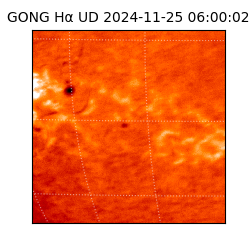gong - 2024-11-25T06:00:02