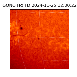 gong - 2024-11-25T12:00:22