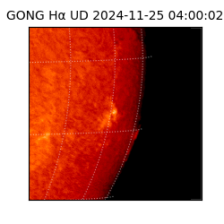 gong - 2024-11-25T04:00:02