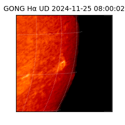gong - 2024-11-25T08:00:02