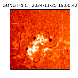 gong - 2024-11-25T19:00:42