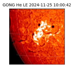 gong - 2024-11-25T10:00:42