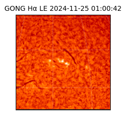 gong - 2024-11-25T01:00:42