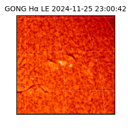 gong - 2024-11-25T23:00:42