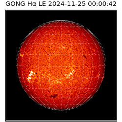 gong - 2024-11-25T00:00:42