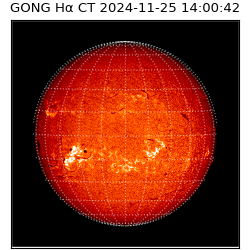 gong - 2024-11-25T14:00:42