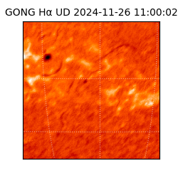 gong - 2024-11-26T11:00:02
