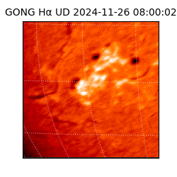 gong - 2024-11-26T08:00:02