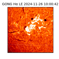 gong - 2024-11-26T10:00:42