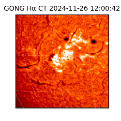 gong - 2024-11-26T12:00:42