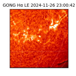 gong - 2024-11-26T23:00:42