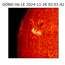 gong - 2024-11-26T02:01:42