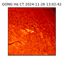 gong - 2024-11-26T13:02:42