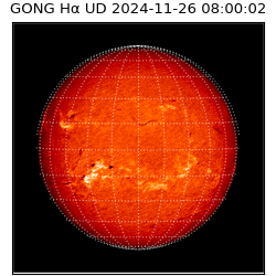 gong - 2024-11-26T08:00:02
