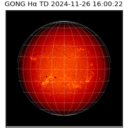 gong - 2024-11-26T16:00:22