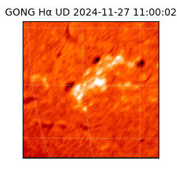 gong - 2024-11-27T11:00:02