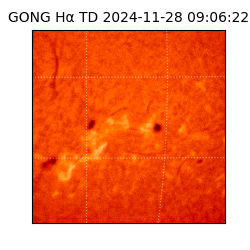 gong - 2024-11-28T09:06:22