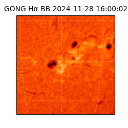 gong - 2024-11-28T16:00:02